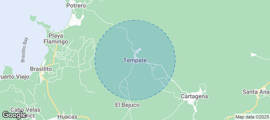Discover Tempate Airbnb Analytics